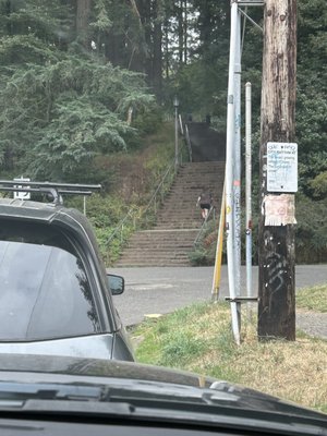 Mt. Tabor by null