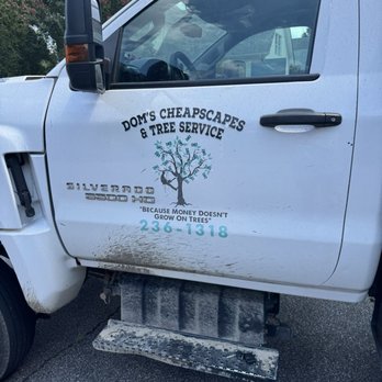 Dom's Cheapscapes - Tree Services Near Me Dom's Cheapscapes - Tree Services Near Me