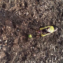 Wildwood Park - "I'm having a ball!!"
