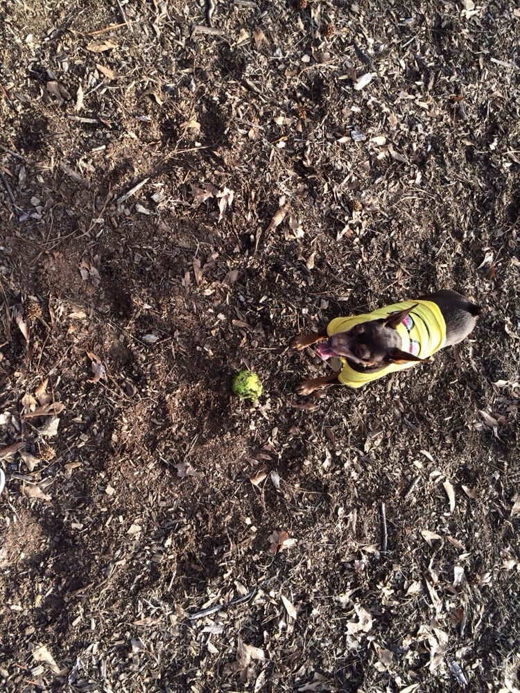 Social spots from Wildwood Park