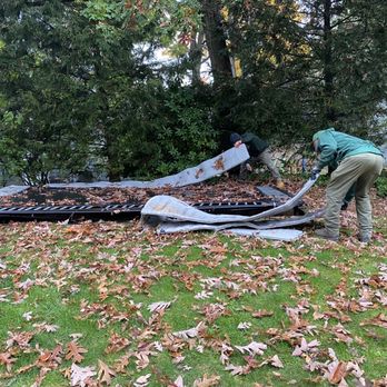 R&S Junk Cleanouts - Trampoline set in the ground. - Demolition Services Near Me - Marblehead, Massachusetts R&S Junk Cleanouts - Trampoline set in the ground. - Demolition Services Near Me - Marblehead, Massachusetts