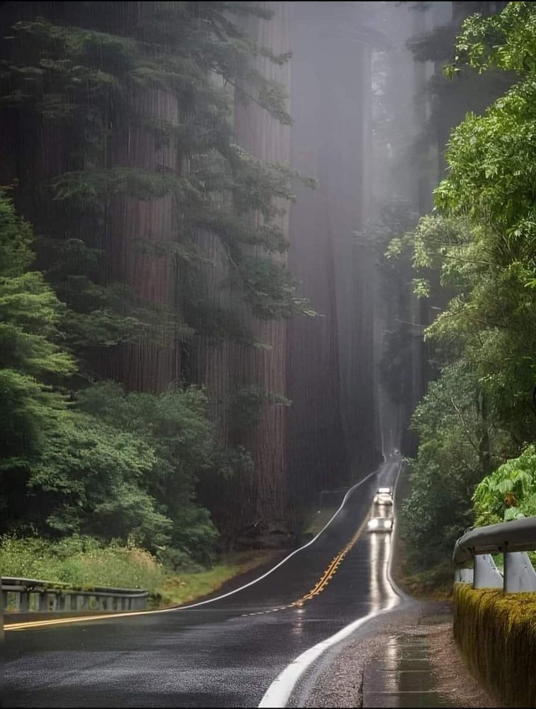 Slide of Austrong General Roofing