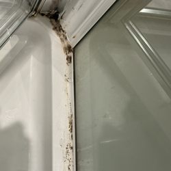 Holiday Inn Express Birmingham - Walsall - Mold/Mildew in the shower.