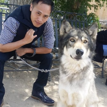 Wolf Mountain Sanctuary - Had to get a GQ pic for my birthday with this amazing Wolf, he stole the spotlight. :) - Animal Shelters Near Me - Lucerne Valley, California Wolf Mountain Sanctuary - Had to get a GQ pic for my birthday with this amazing Wolf, he stole the spotlight. :) - Animal Shelters Near Me - Lucerne Valley, California