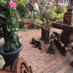 Fox Hollow Gallery - The kitty is Miss Jessie. Such a sweet cat! We're best friends now.