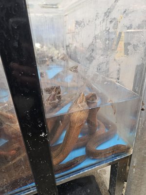 99 Ranch Market by null