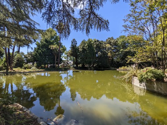 Jardins do Palácio de Cristal by null