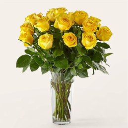 Long Stem Yellow Roses. EXCELLENT!!! Long Stem Yellow Roses. EXCELLENT!!!