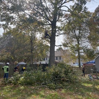 Trees R Us - Tree Services Near Me - Newport News, Virginia