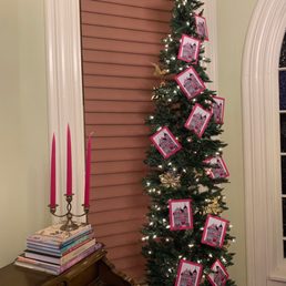 Beautiful tree