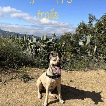 Shelf Road Trail - Loves this place! - Hiking Near Me - Ojai, California