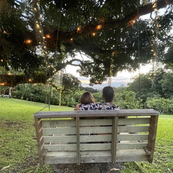 Experience Nutridge - Sit on the swing & take in the scenery - Performing Arts Near Me - Honolulu, Hawaii