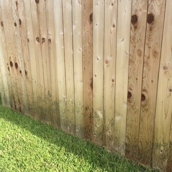 TruGreen Lawn Care - Tree Services Near Me - Houston, Texas TruGreen Lawn Care - Tree Services Near Me - Houston, Texas