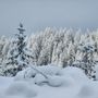 Photo of Leavenworth Snowmobile Tours