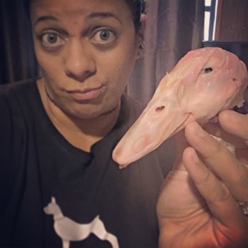 Raw Feeding Miami - Quack Quack - Pet Services Near Me - Miami, Florida