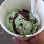 Photo of Scoop Scoot