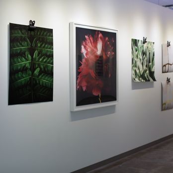 Wonderwall Studio - Various print styles - Art Galleries Near Me - Austin, Texas