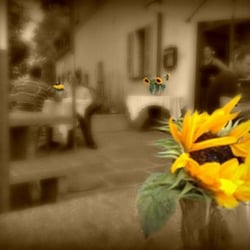 Antica Osteria Manetti - Terrazza.