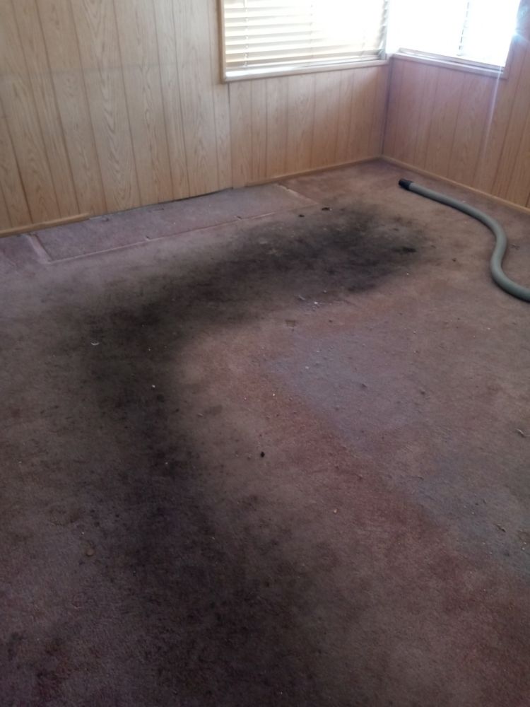 EAGLE CARPET AND FLOOR 37 Photos Long Beach, California Carpet