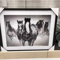Bealls Outlet