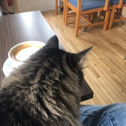 Ömer Café - Quality control is important- latte inspections are part of the experience.