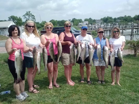 Fishing cruise - Hire a 50 year experienced captain to take you to prime fishing spots. It's a great way to enjoy a day on the water while targeting specific fish species. Whether you're a seasoned angler or a beginner, Screaming Eagle fishing charters provides all the equipment and expertise needed for a successful and enjoyable fishing experience.