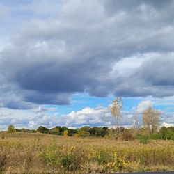Songbird Slough - Brisk fall day