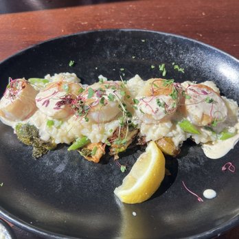 Tidal Raves - Scallops...tender and succulent - New American Near Me - Depoe Bay, Oregon Tidal Raves - Scallops...tender and succulent - New American Near Me - Depoe Bay, Oregon