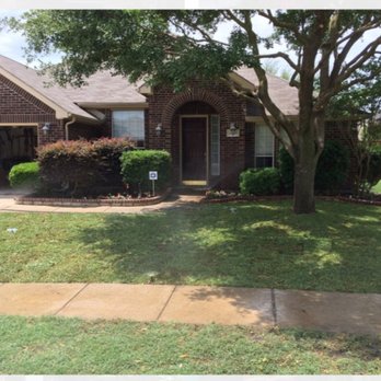 Abel's Tree Service - Tree Services Near Me