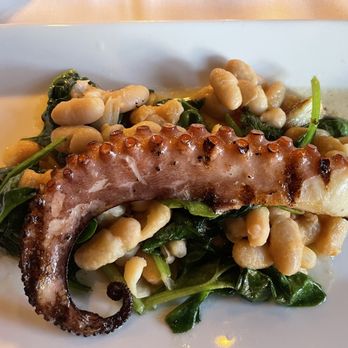 Dolce Restaurant - Grilled Octopus Beans & Spinach App - Italian Near Me - Flemington, New Jersey Dolce Restaurant - Grilled Octopus Beans & Spinach App - Italian Near Me - Flemington, New Jersey