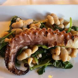 Grilled Octopus Beans & Spinach App