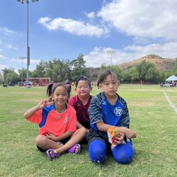 Ayso Region 624 Walnut