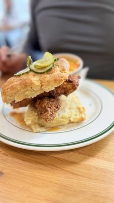 The House of Marigold by null