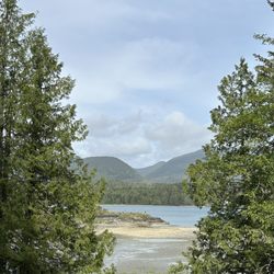Ucluelet Campground - View from our site 42