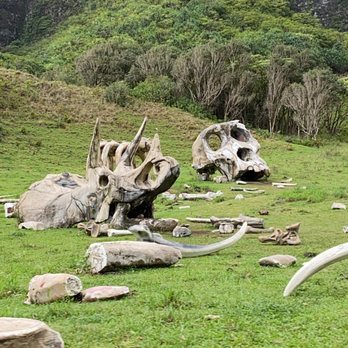 Kualoa Ranch - Tours Near Me - Kaneohe, Hawaii Kualoa Ranch - Tours Near Me - Kaneohe, Hawaii