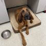 Photo of Buckner Animal Clinic