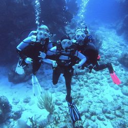 One World Dive & Travel - Underwater friends!