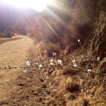 Stough Canyon Nature Center - Hiking Near Me - Burbank, California Stough Canyon Nature Center - Hiking Near Me - Burbank, California
