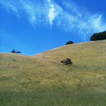 Mt. Burdell Open Space Preserve - by the hidden lake - Hiking Near Me Mt. Burdell Open Space Preserve - by the hidden lake - Hiking Near Me