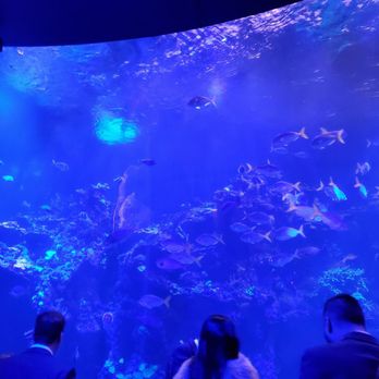 NightLife - Museums Near Me - San Francisco, California NightLife - Museums Near Me - San Francisco, California