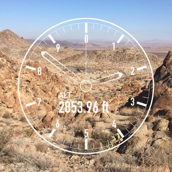 Fortynine Palms Oasis - Snapchat elevation :) - Hiking Near Me - Twentynine Palms, California