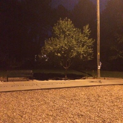 Hampden Heights Park by null