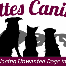 Sutter Buttes Canine Rescue