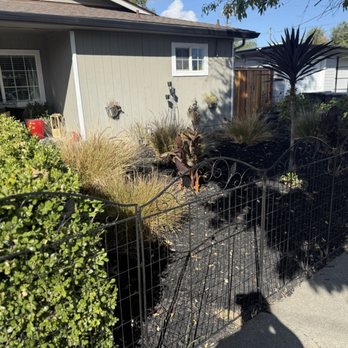 Smith Prestige Group - Trimmed the weeds growing out of the fence - Office Cleaning Near Me - Wilmington, Delaware Smith Prestige Group - Trimmed the weeds growing out of the fence - Office Cleaning Near Me - Wilmington, Delaware
