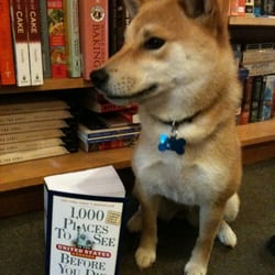 A Great Good Place for Books - Autumn planning her next excursion.