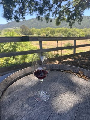 Hitching Post Wines by null