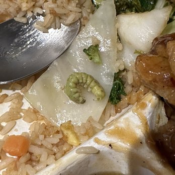 Panda Express - Chinese Near Me - Queens, New York Panda Express - Chinese Near Me - Queens, New York