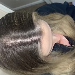 She went in with blond hair and left with brown on the top and brassy blond on bottom