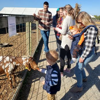 Eckert's Millstadt Fun Farm - Pick Your Own Farms Near Me - Millstadt, Illinois
