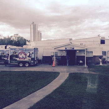 Homestead Creamery - Ice Cream & Frozen Yogurt Near Me - Wirtz, Virginia